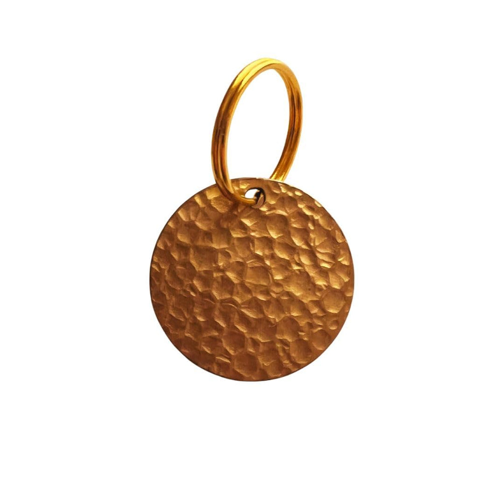 Flea & Tick Tag for Dogs & Cats R5566