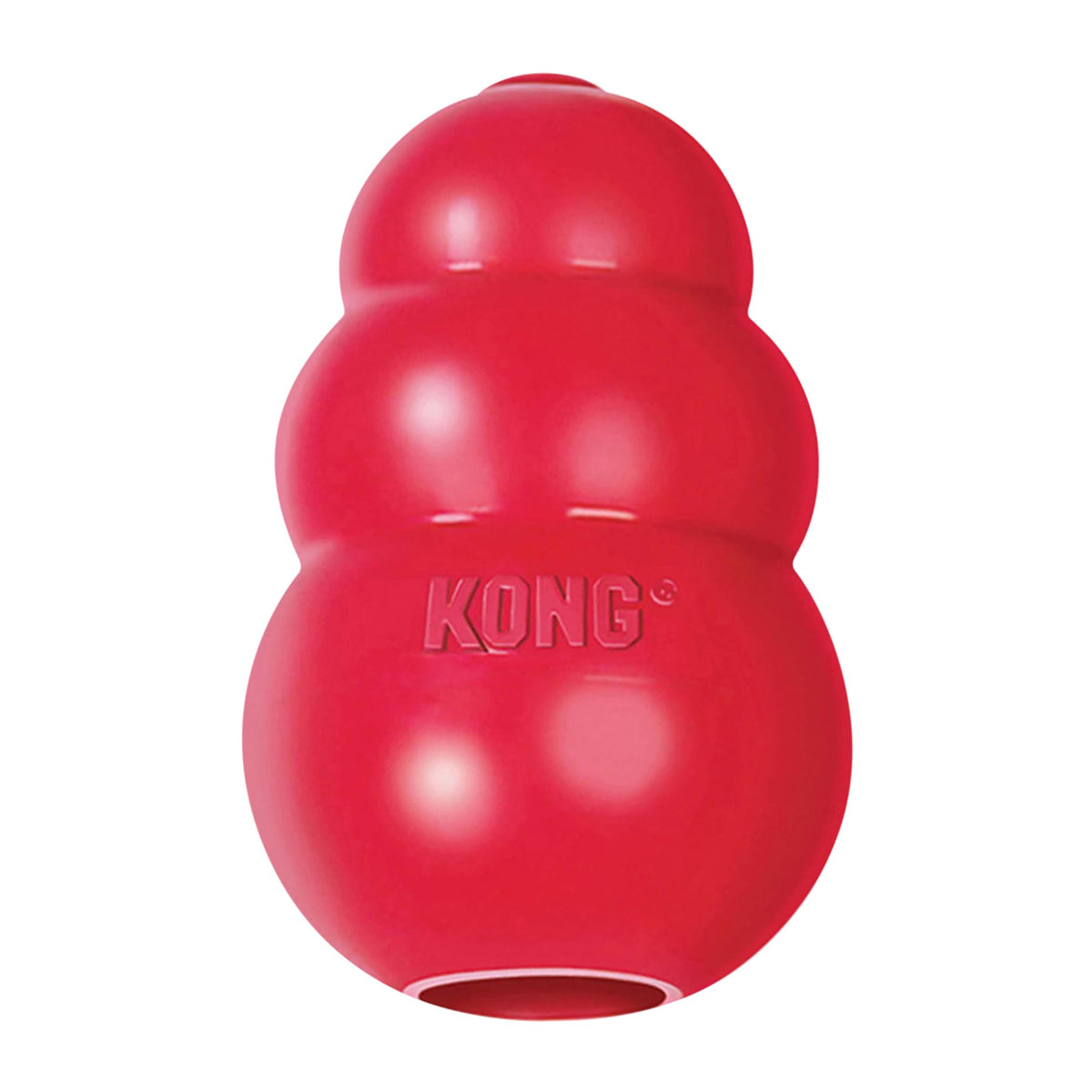 Classic Stuffable Natural Rubber Dog Toy C876
