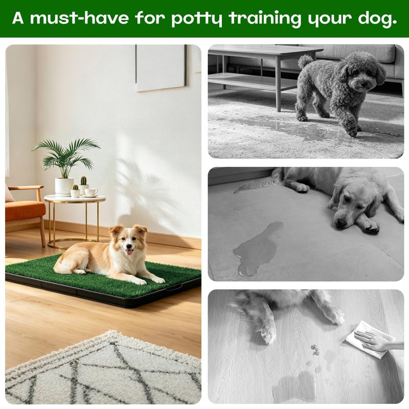 20x25 Inch Dog Grass Pad with Tray G90537