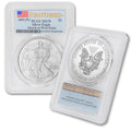 1 oz American Silver Eagle Coin MS-70 A6783