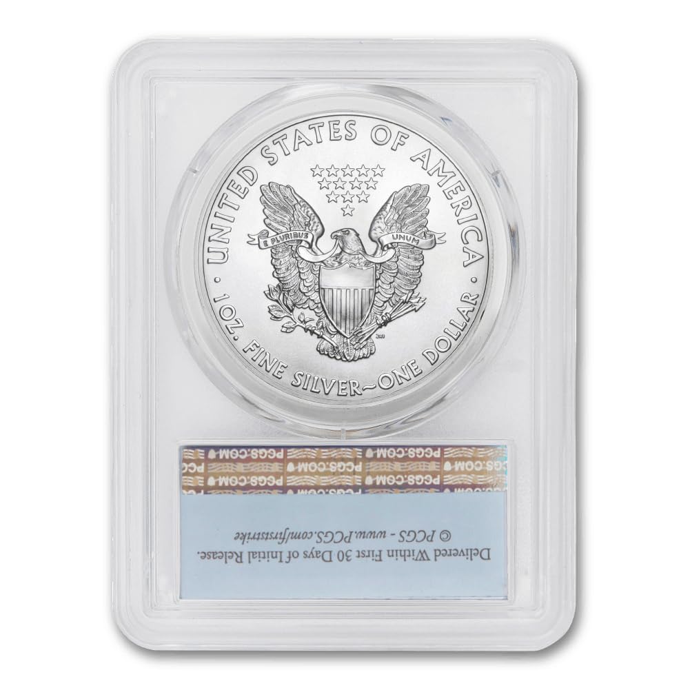 1 oz American Silver Eagle Coin MS-70 A6783