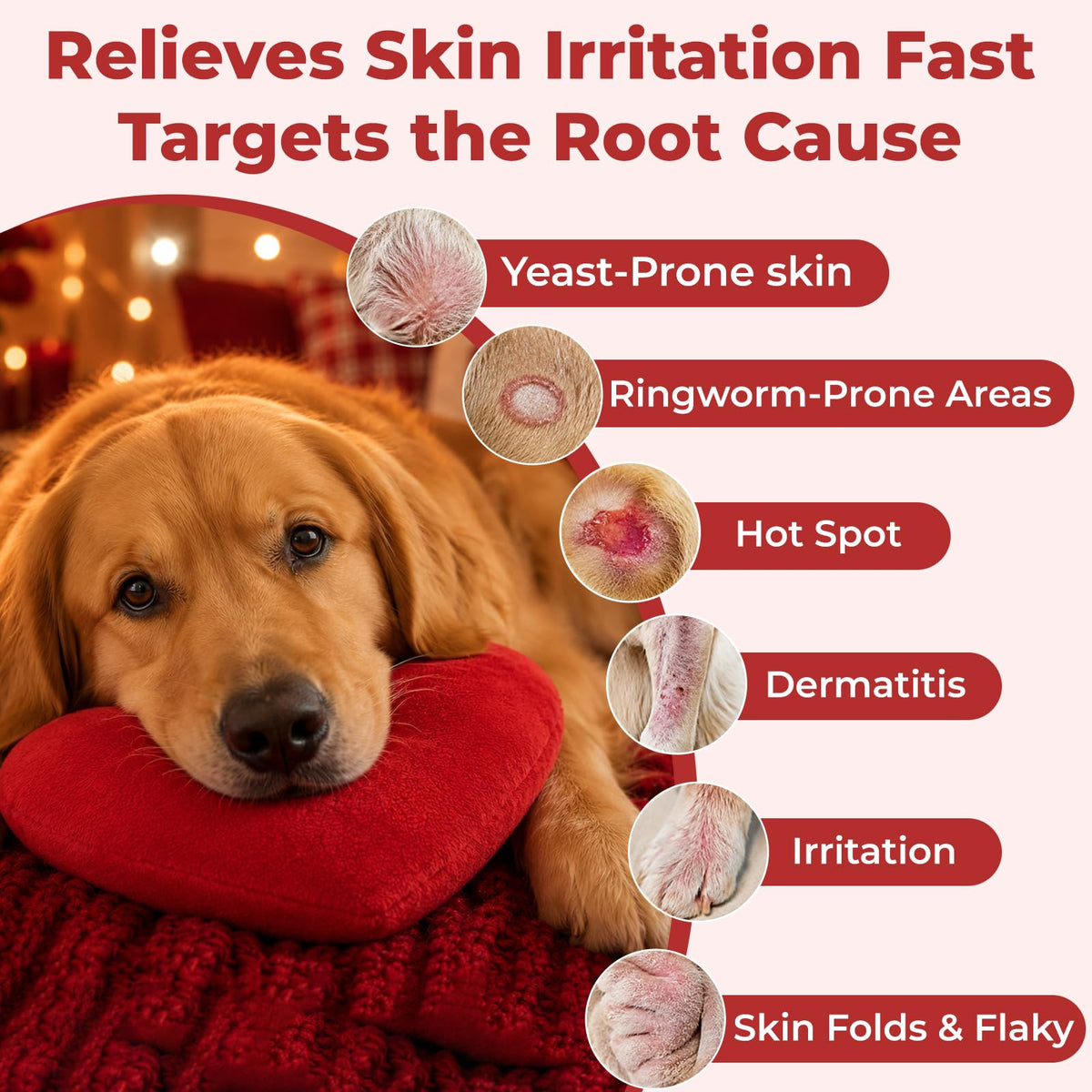 Dog Yeast Infection Treatment 4.23oz K5059