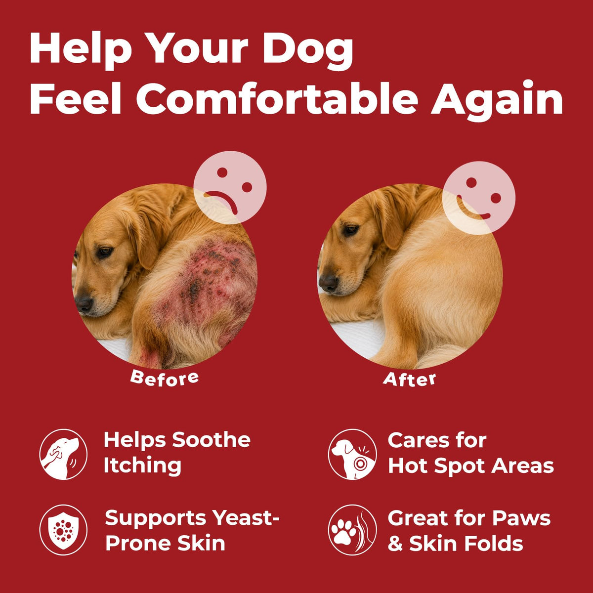 Dog Yeast Infection Treatment 4.23oz K5059