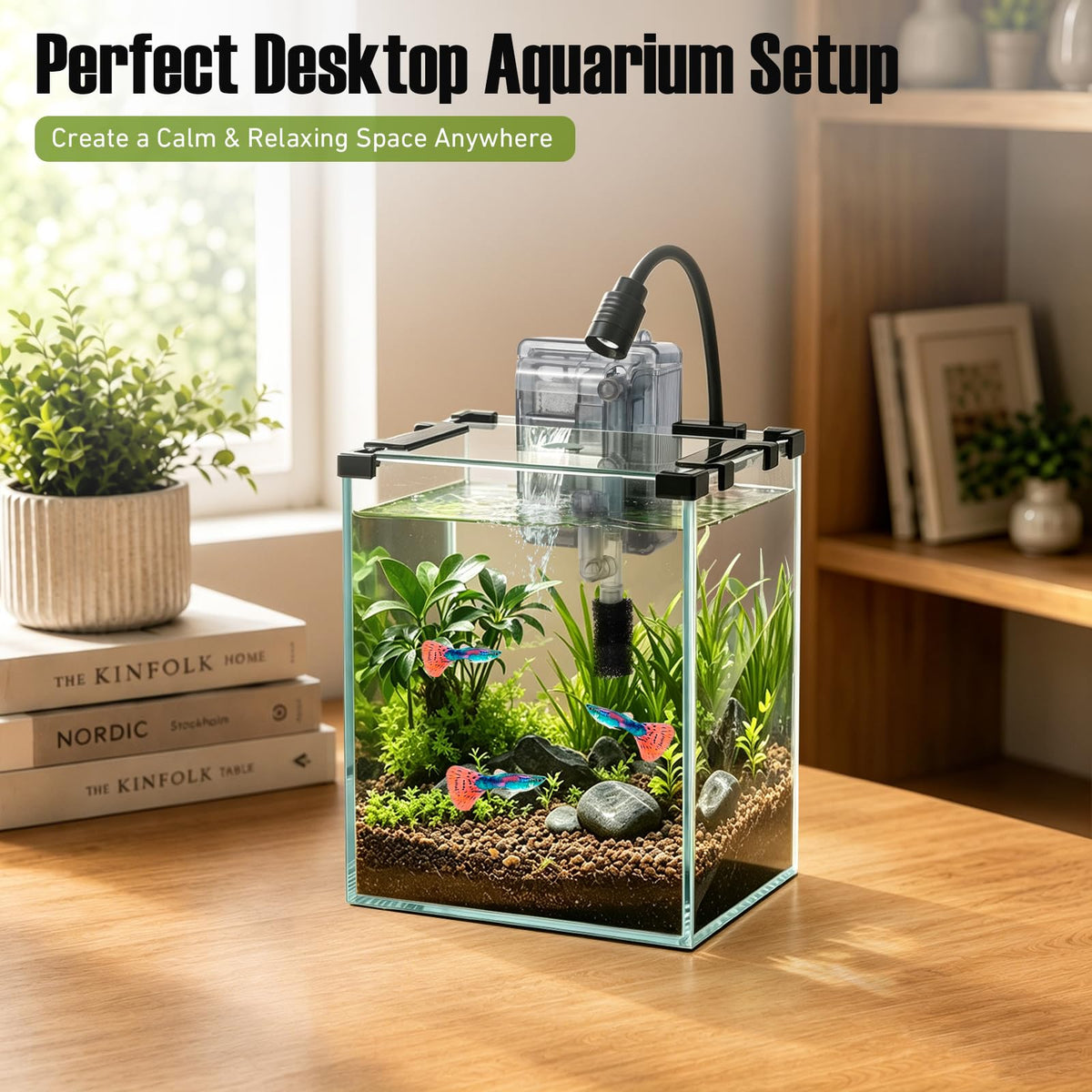2.2 Gallon Glass Fish Tank Kit S499504