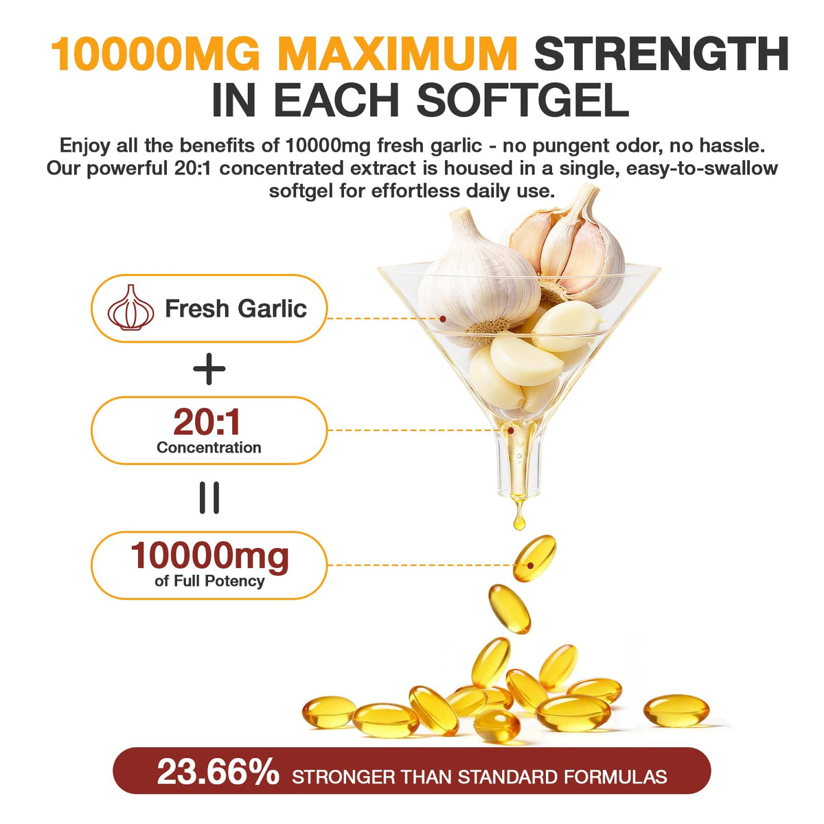 Aged Garlic Extract Softgels A760
