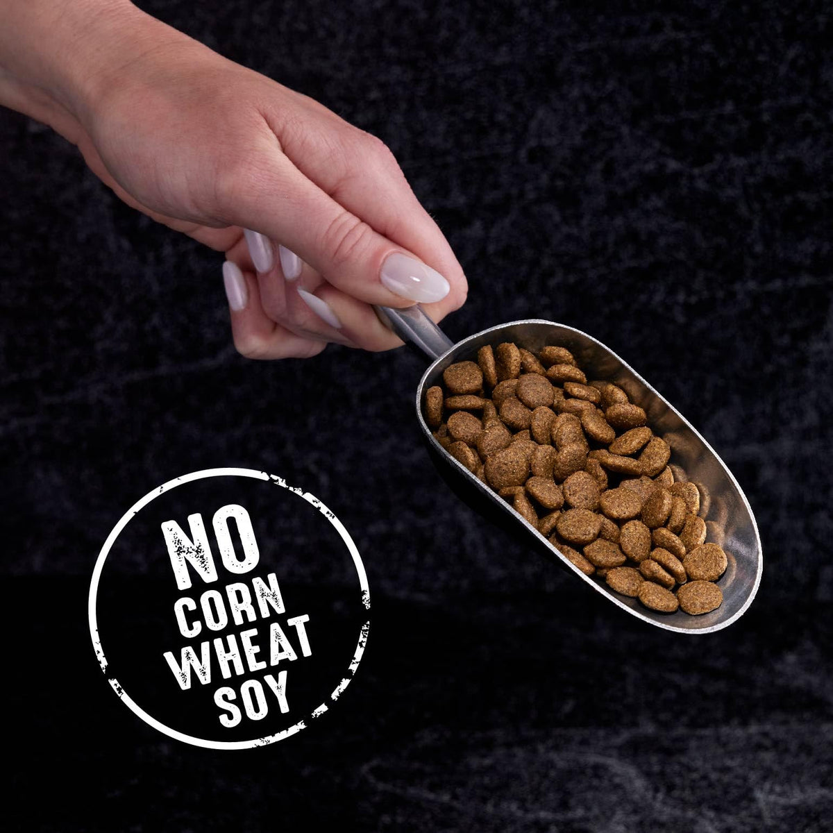 Grain Free High Protein Natural Dry Cat Food, Chicken, 4 lb V383