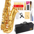 E Flat Alto Saxophone with Case H4478