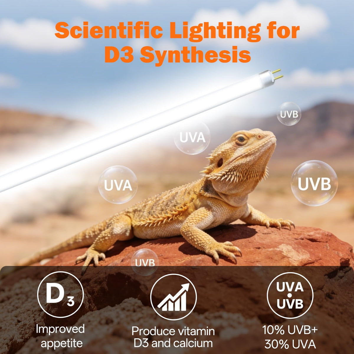 24W 22'' UVB Reptile Light Fixture Combo Kit C436710