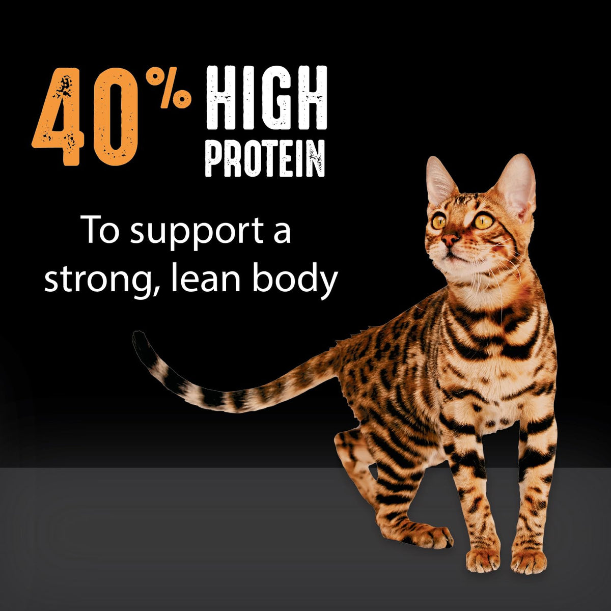 Grain Free High Protein Natural Dry Cat Food, Chicken, 4 lb V383