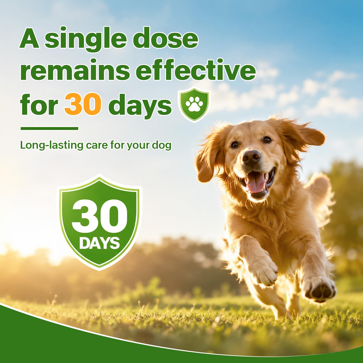 Flea and Tick Prevention for Dogs 5-43 lbs 6 Doses A389090