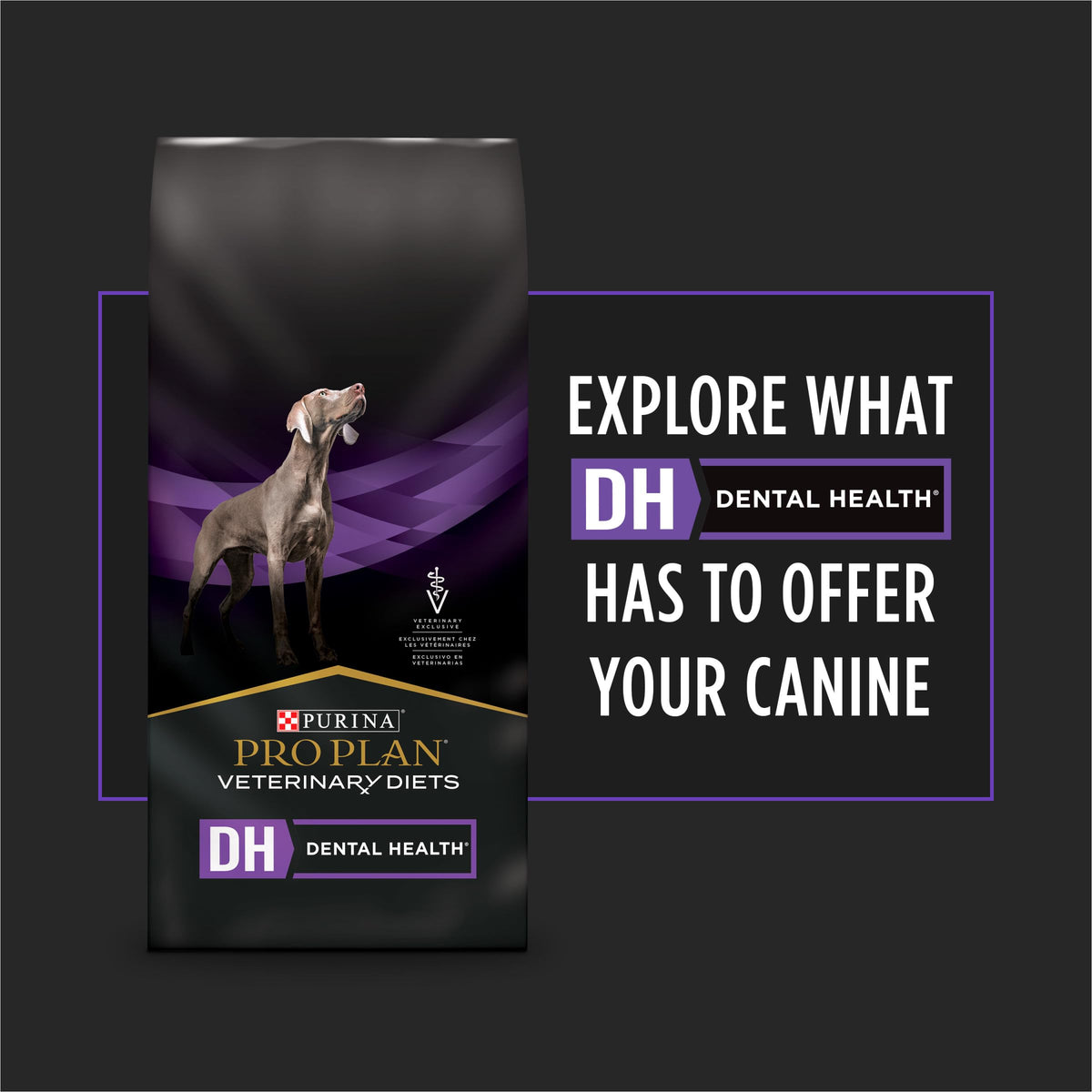 Dog Treats 5 oz T191603
