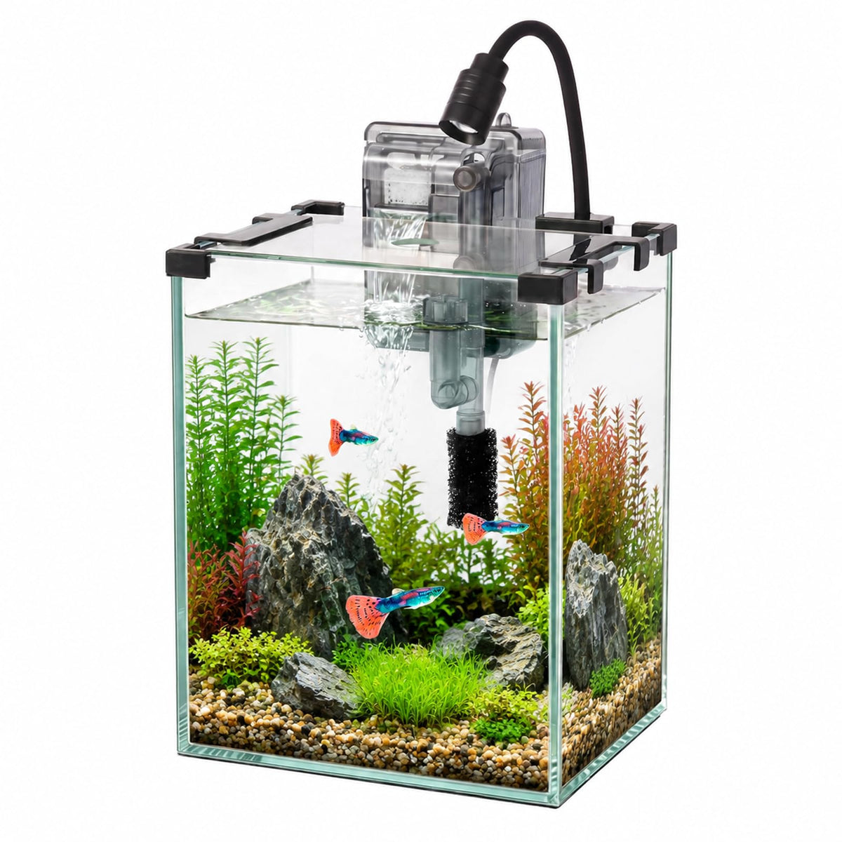 2.2 Gallon Glass Fish Tank Kit S499504
