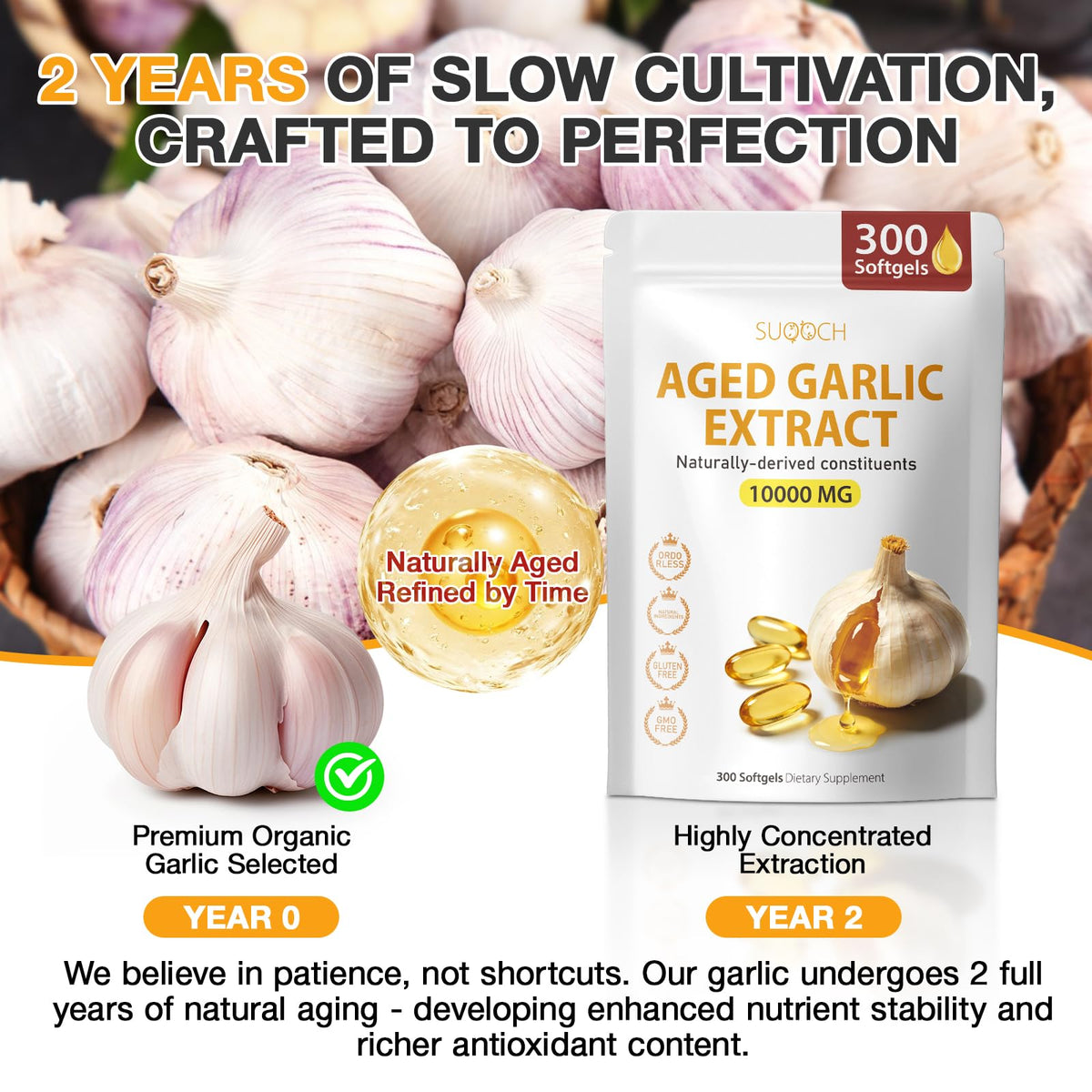 Aged Garlic Extract Softgels A760