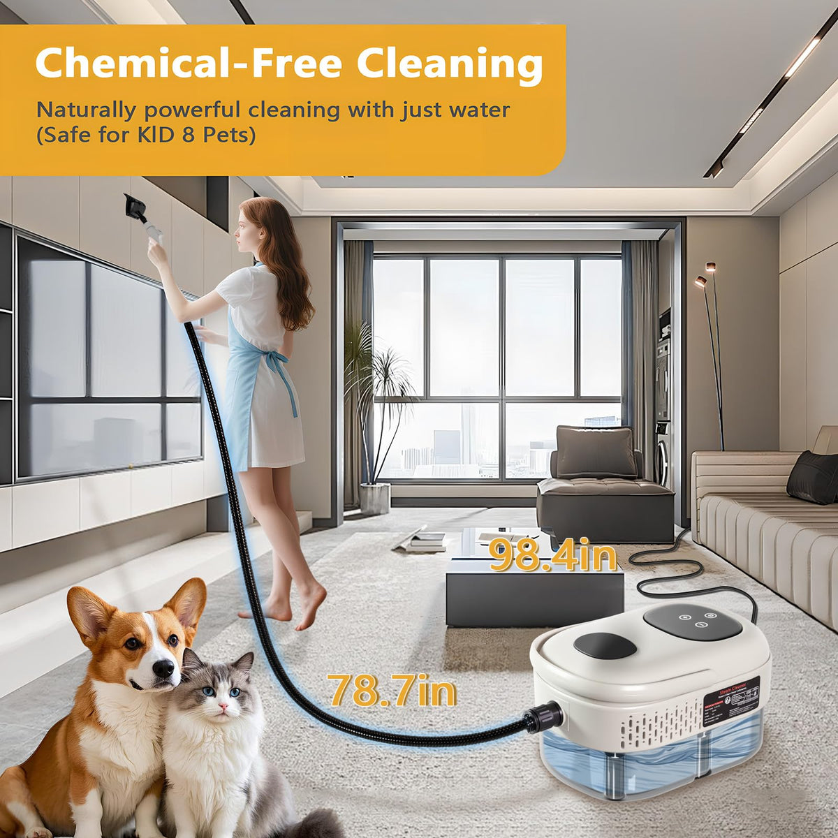 Handheld Steam Cleaner J52055