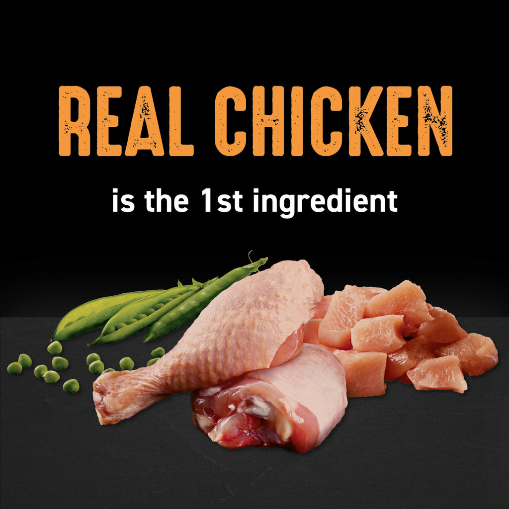 Grain Free High Protein Natural Dry Cat Food, Chicken, 4 lb V383
