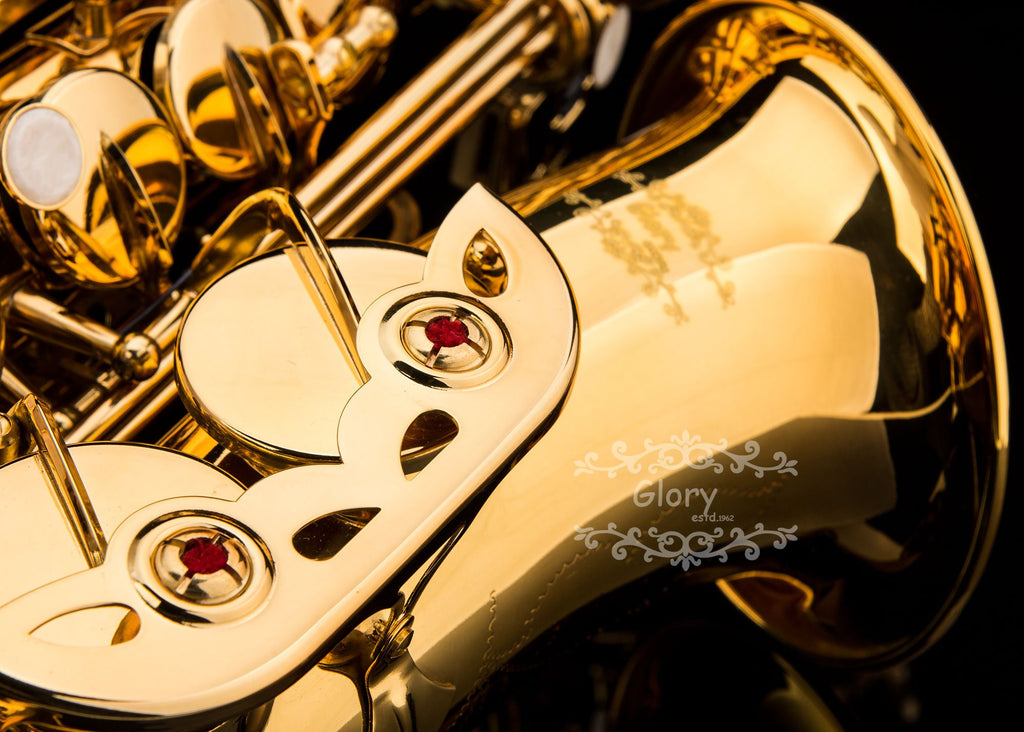 E Flat Alto Saxophone with Case H4478