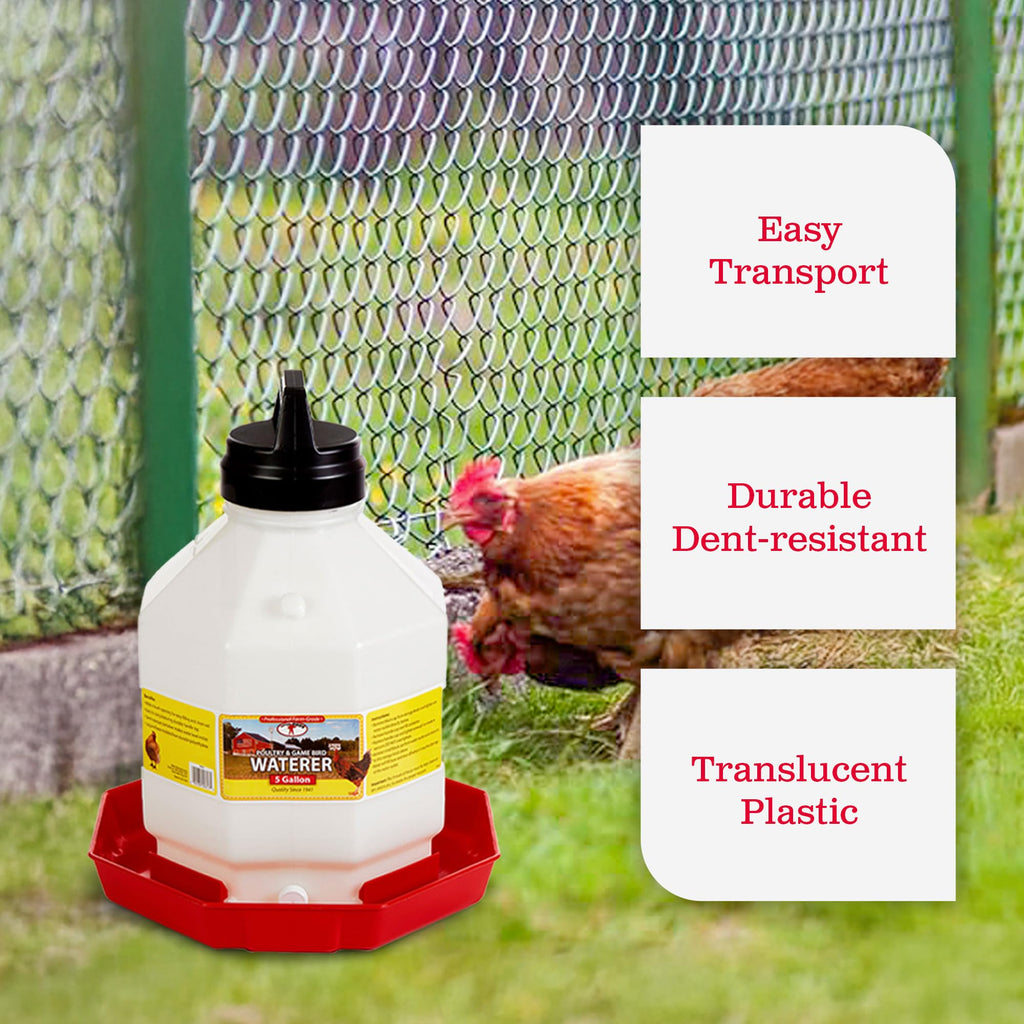5 Gallon Hanging Automatic Poultry Waterer Dispenser, 2-Pack Q22067