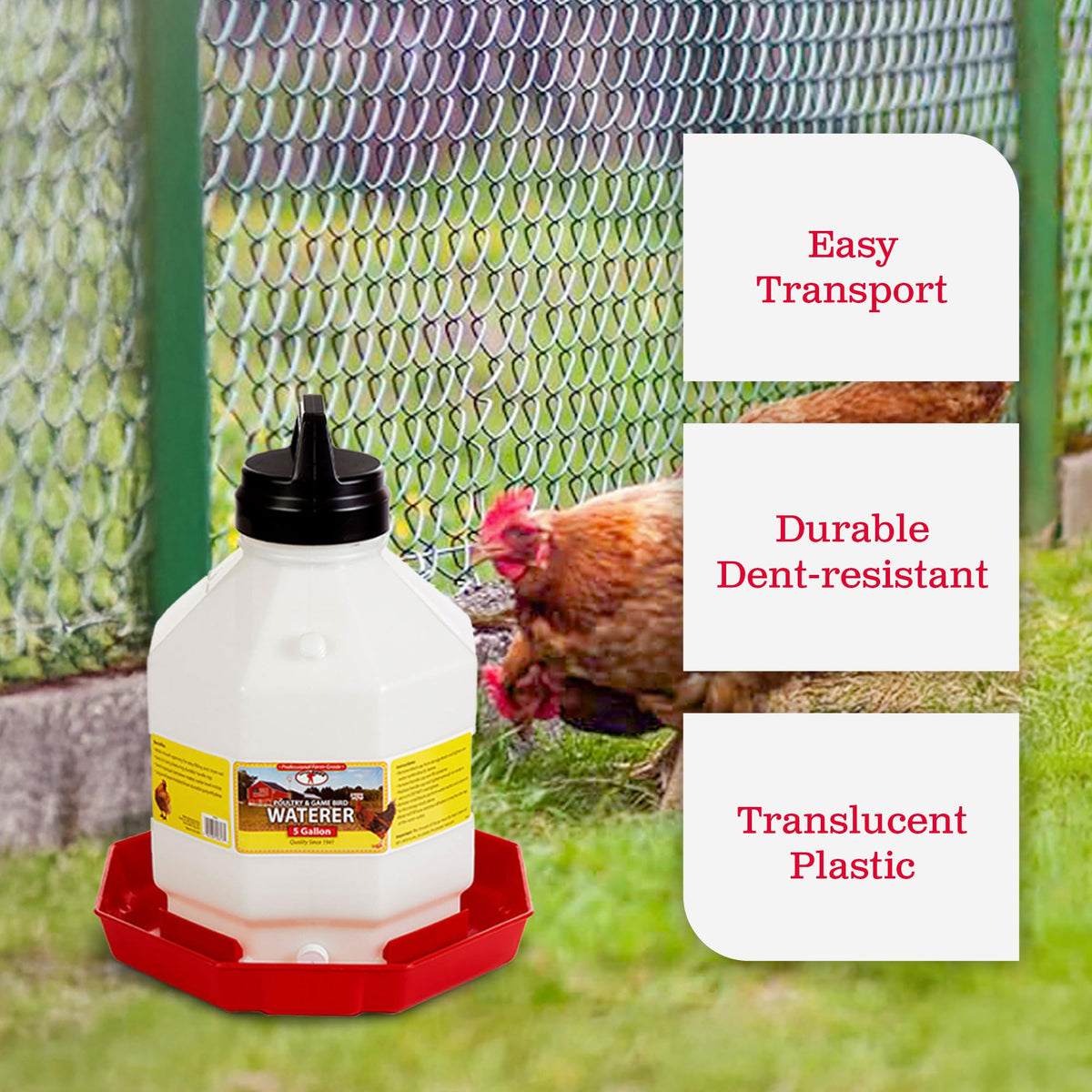 5 Gallon Hanging Automatic Poultry Waterer Dispenser, 2-Pack Q22067