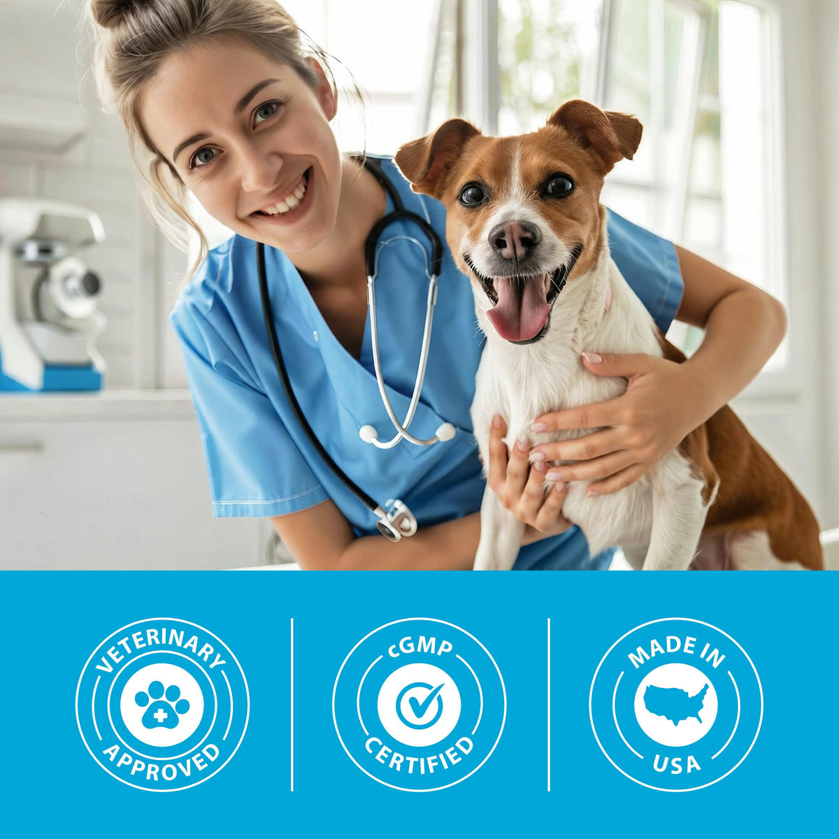 Canine Joint Soft Chews 90 Count I802