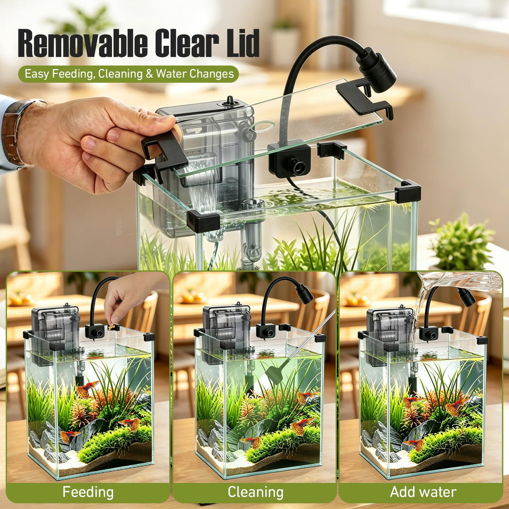 2.2 Gallon Glass Fish Tank Kit S499504