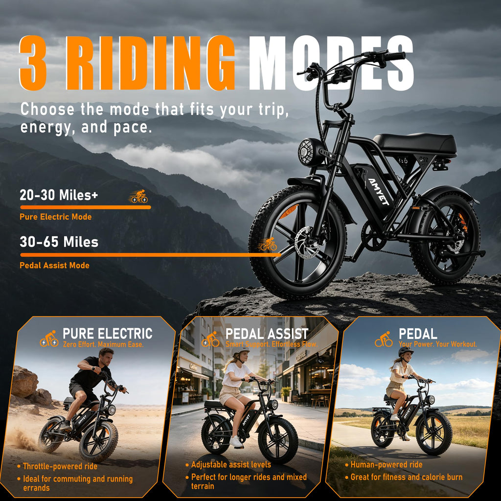20'' Fat Tire Electric Bike N713906