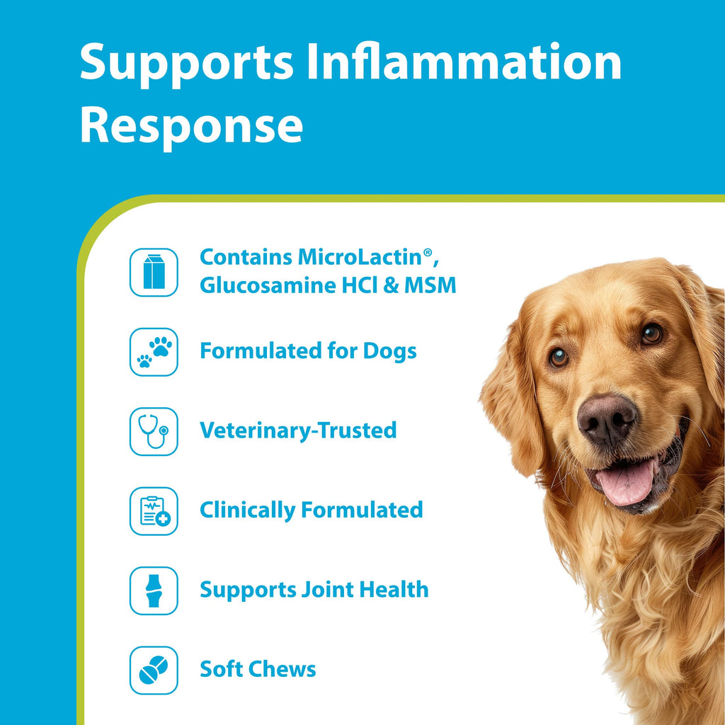 Canine Joint Soft Chews 90 Count I802