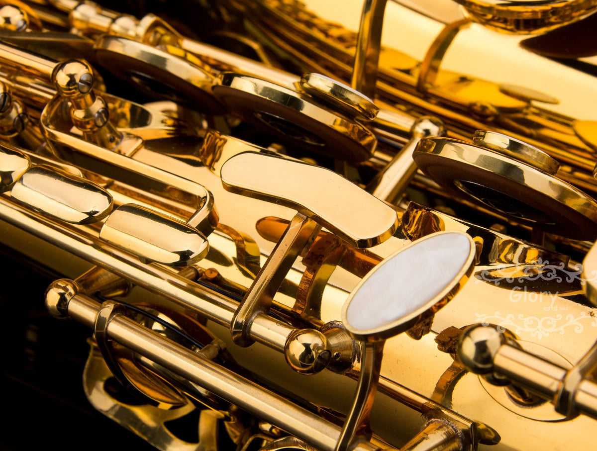 E Flat Alto Saxophone with Case H4478