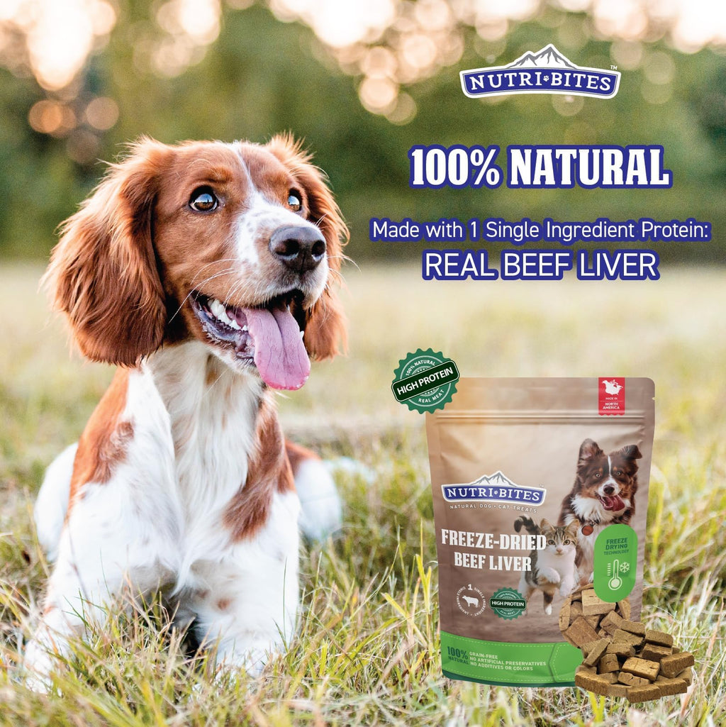Freeze Dried Beef Liver Dog & Cat Treats 27 Ounce Bag D76266