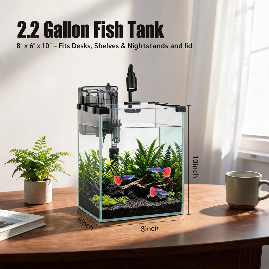 2.2 Gallon Glass Fish Tank Kit S499504