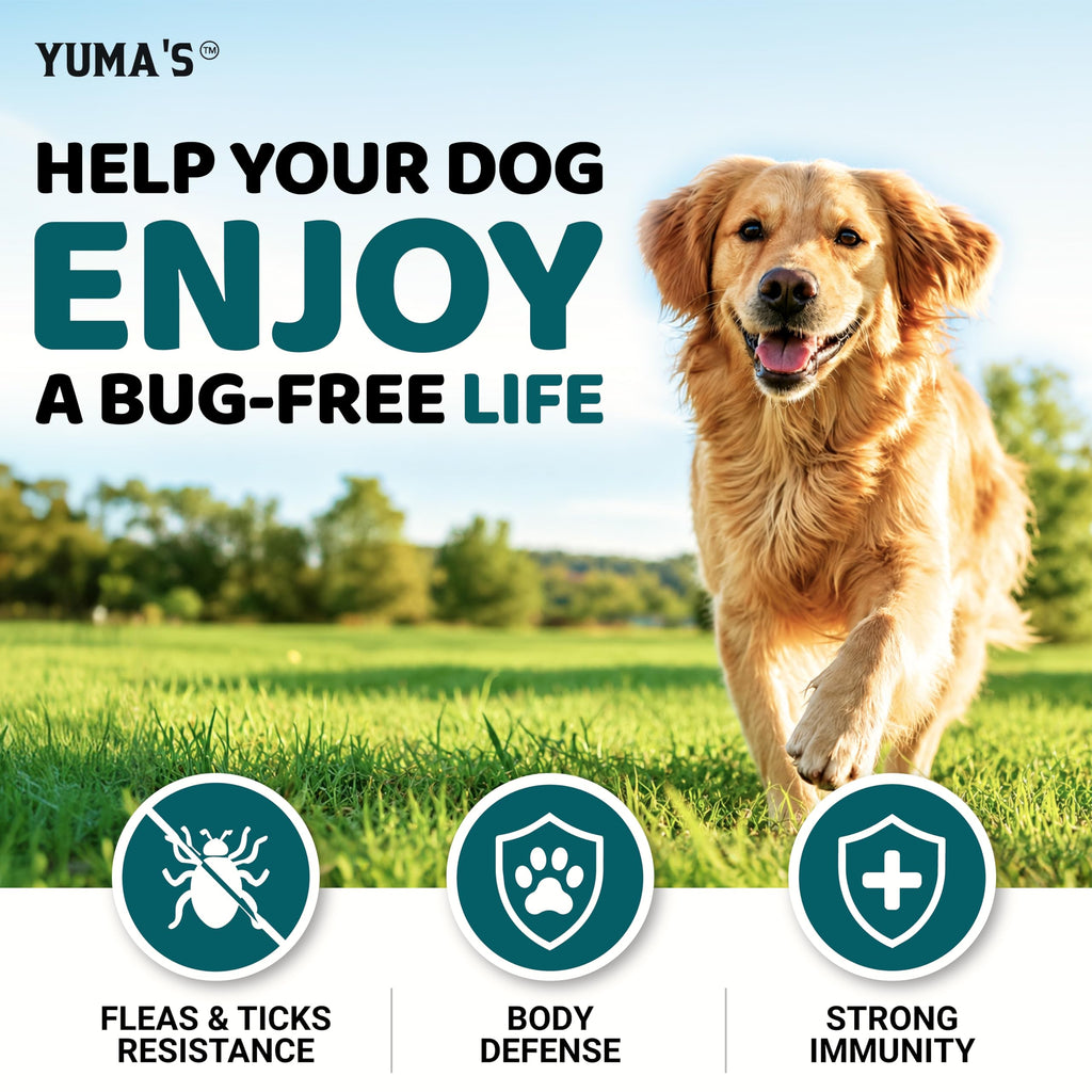 Chewable Flea and Tick Prevention for Dogs 240 Chews N286