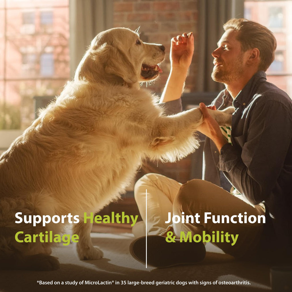 Canine Joint Soft Chews 90 Count I802