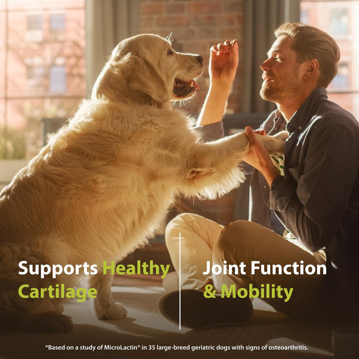 Canine Joint Soft Chews 90 Count I802