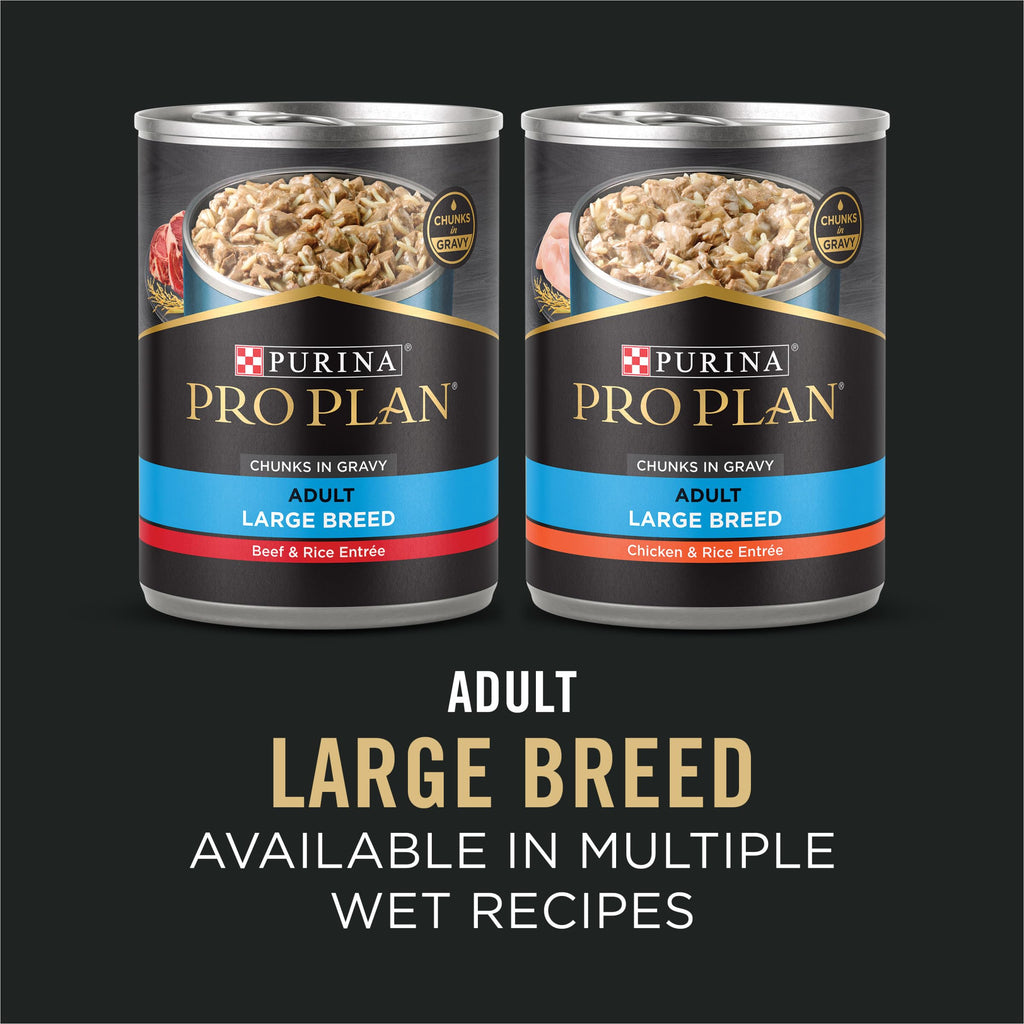 Chicken & Rice Large Breed Dry Dog Food 34 lb Bag S7827