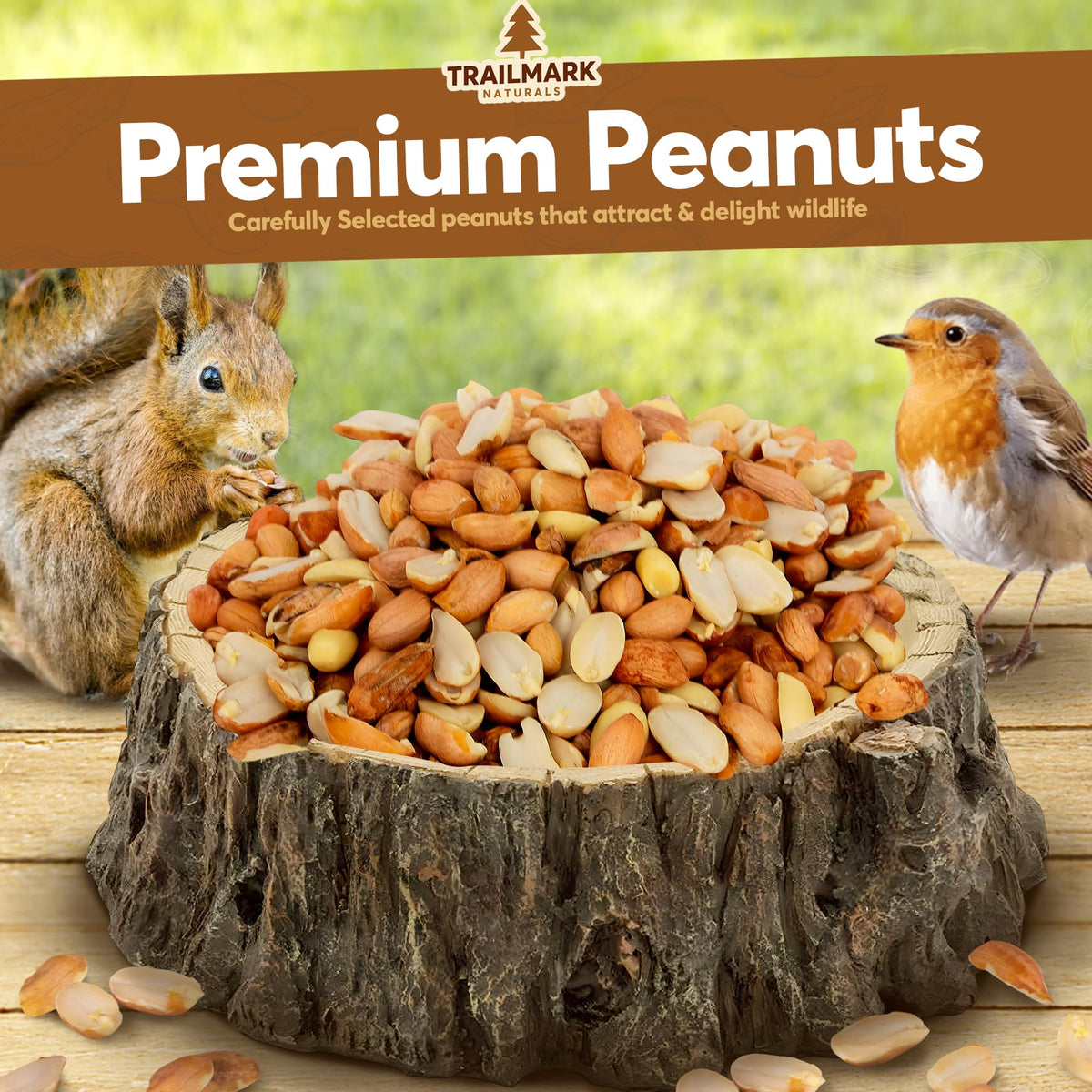 Raw Shelled Peanuts F239