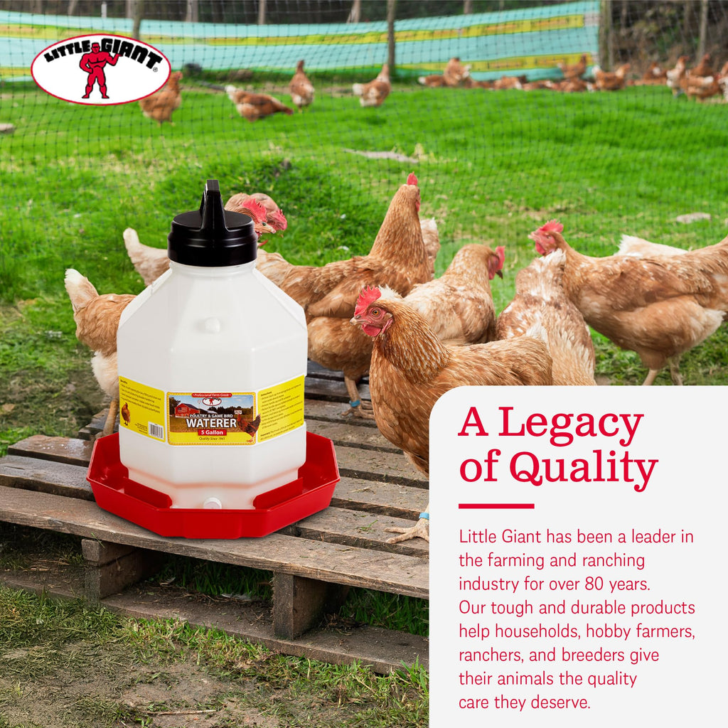 5 Gallon Hanging Automatic Poultry Waterer Dispenser, 2-Pack Q22067