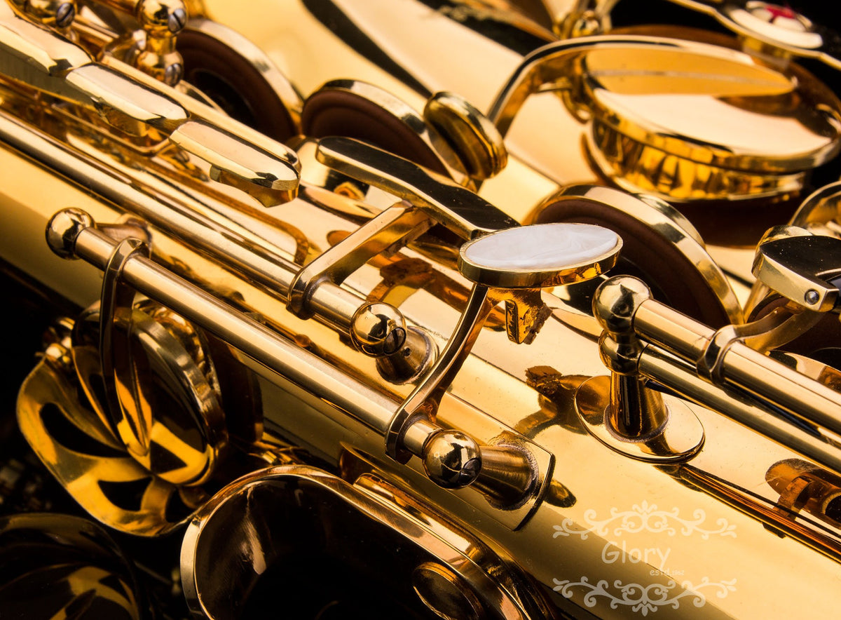 E Flat Alto Saxophone with Case H4478